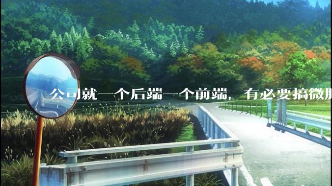 公司就一个后端一个前端，有必要搞微服务吗？