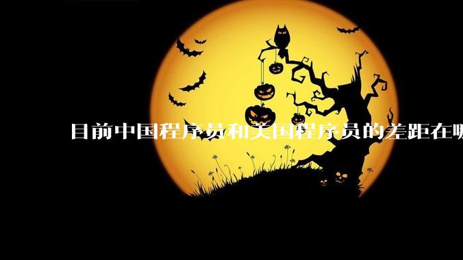 目前中国程序员和美国程序员的差距在哪里？