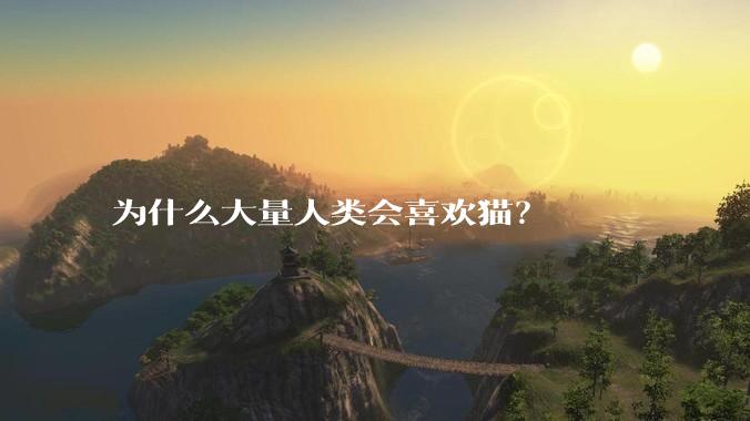 为什么大量人类会喜欢猫？