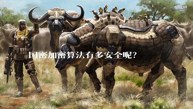 国密加密算法有多安全呢？